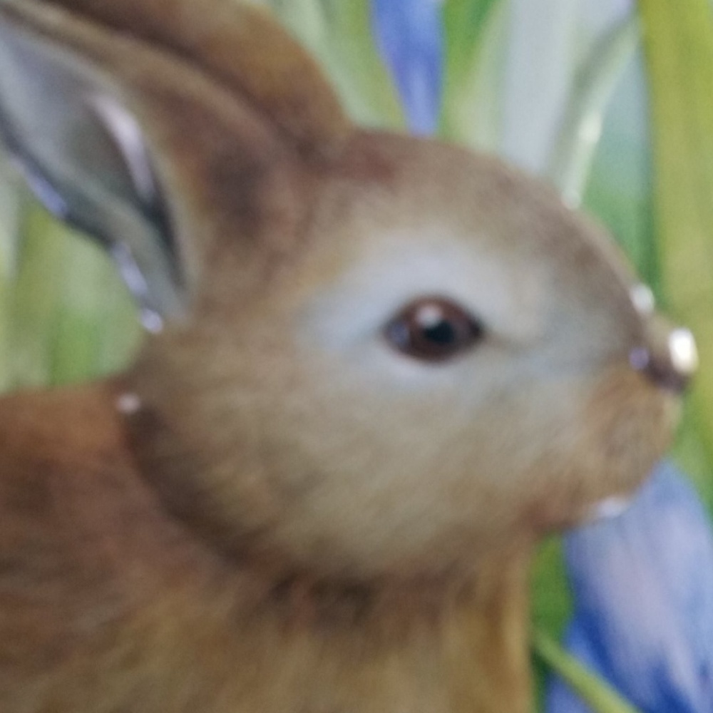 Meet your Posher, Shannon